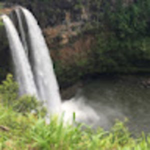 Meet your Posher, Leesa